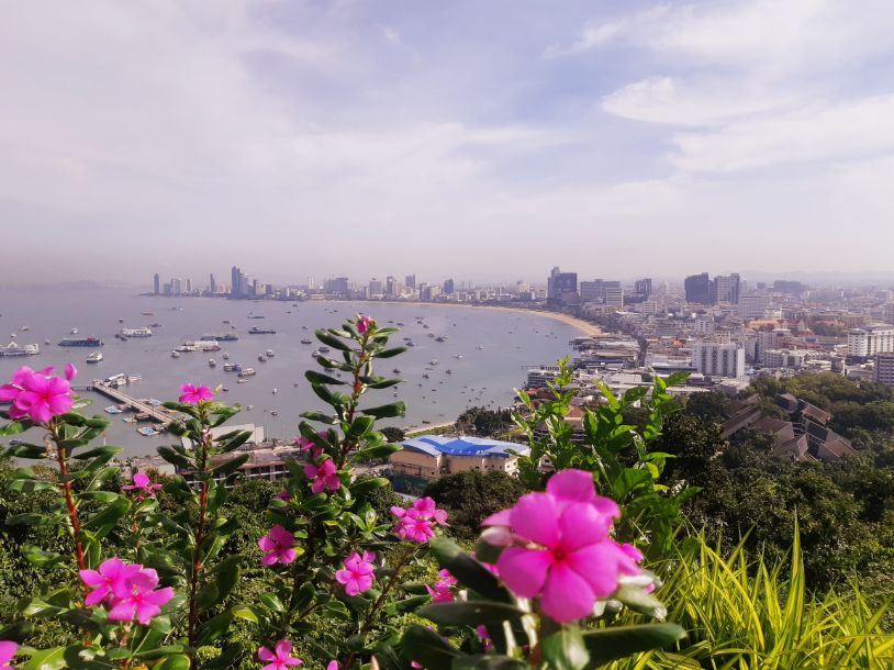 Selfstudy108-f1-topview5-pattaya