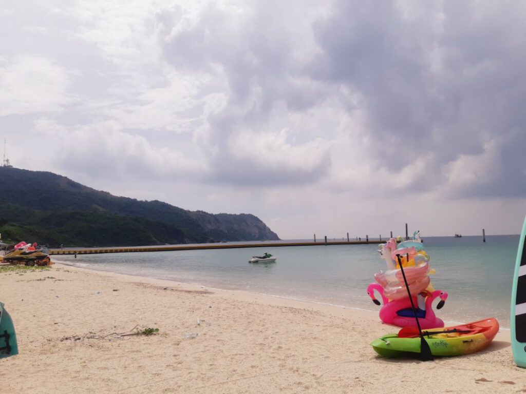 Selfstudy108-samaebeach13-bird-lanisland-pattaya